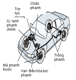 dau-phanh-02_1