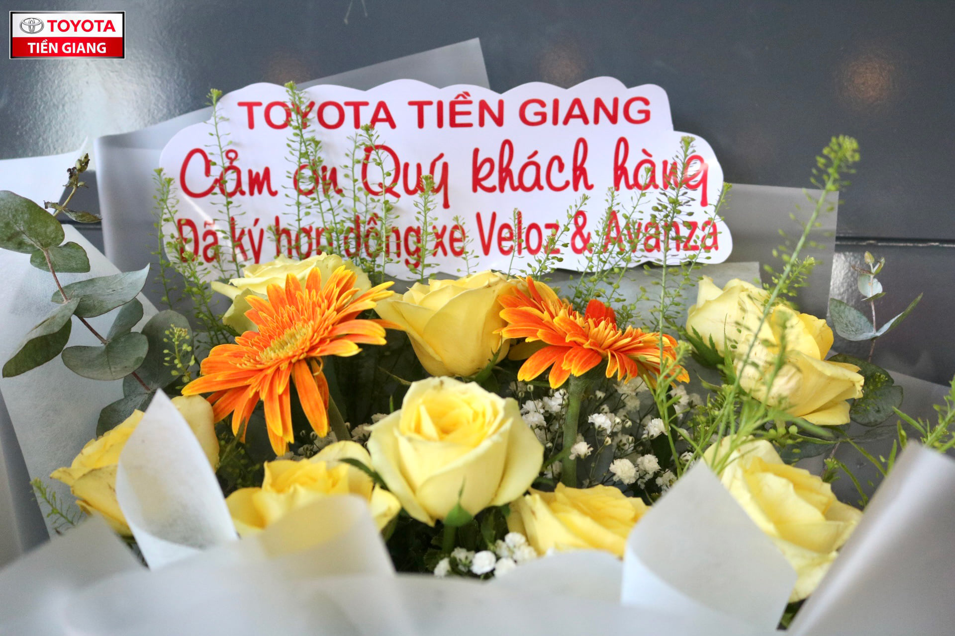 toyota-tien-giang