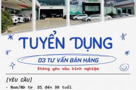 TOYOTA TIỀN GIANG TUYỂN DỤNG 03 TƯ VẤN BÁN HÀNG